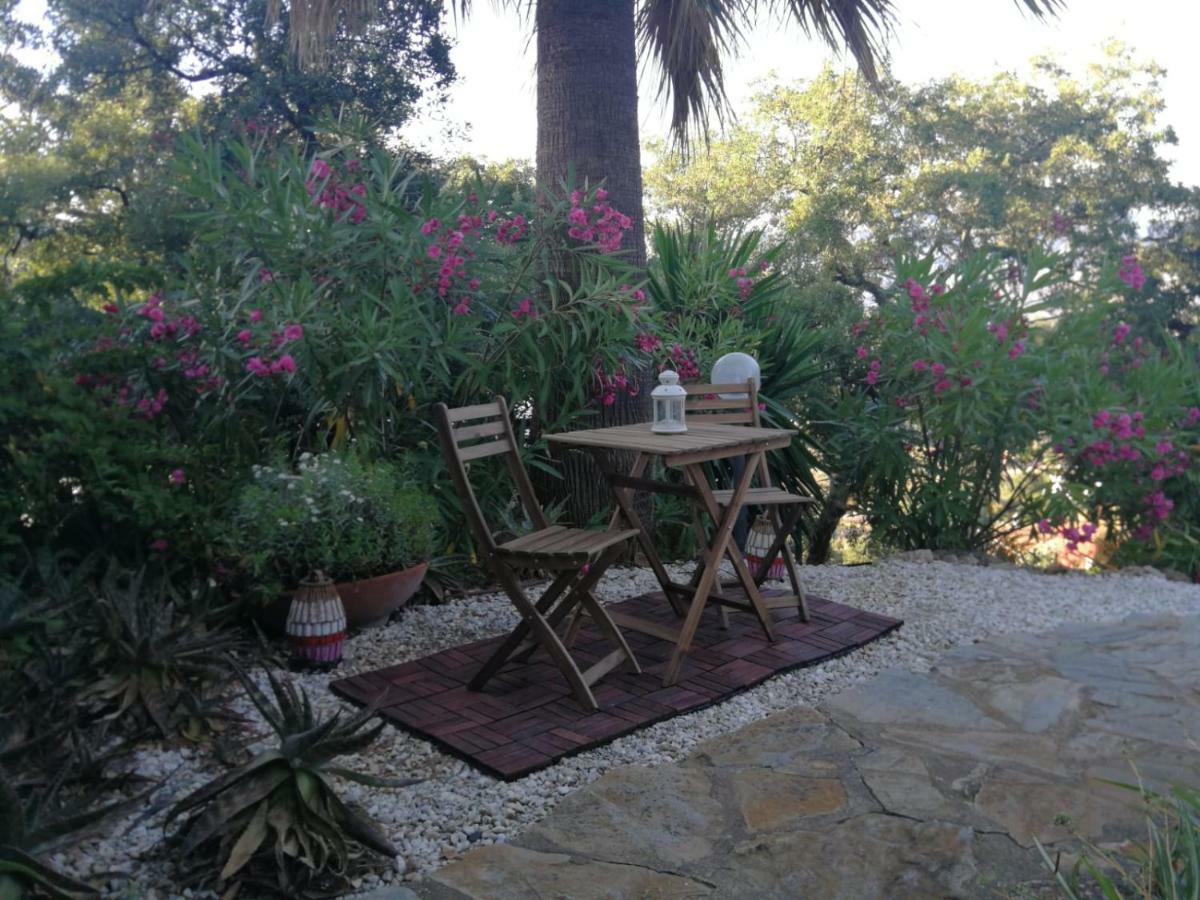 Encantador Y Amplio Estudio A 15 Min De Marbella Apartman Ojén Kültér fotó